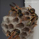 살고싶은집 삼마요양원 이미지