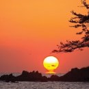 와이컴머스 네이버블로그