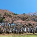 남대천제방길 이미지