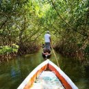 Natural co 이미지