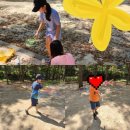 현무태권도 이미지