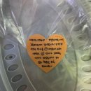 치꼬뱅속초점 네이버블로그