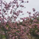 풀림 펜션 이미지