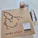 메구미 | 세종일식전문점 이태형의 메구미│고급 정식도시락 포장 후기