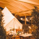 숲속의 돌담 이미지