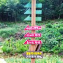 국토는 향기롭다 ㅡ신라 56명 왕들의 숨결이 밴ㅡ 왕의 길을 걷다 이미지
