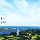 영랑작은도서관 이미지