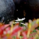 직업상담사 필기 - 노동시장론 이미지