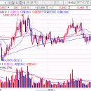 부국사료(주) | 이지홀딩스 035810 -->이지바이오