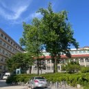 아주다남병원 이미지