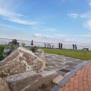 구봉산전망대 이미지