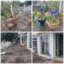 서홍동-13 이미지