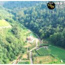 산삼하우스 이미지