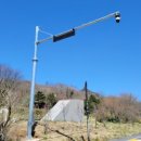 주정차단속-19 이미지