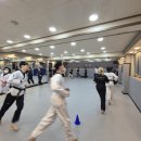 한양대태권도장 | 관악구 인헌동 성인태권도 추천! 낙성대 한양대 대호태권도 후기(겨루기 발차기 편)