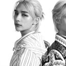 스테이RE 이미지