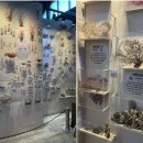 제주해양동물박물관 이미지