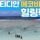 리비친