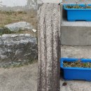 용성관 석물 이미지