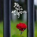 "'성남누비길'(1구간) 일부와 '위례공원' 및 '창곡천' 산책"＜2023.02.21(화)＞ 이미지