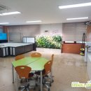백화초등학교 | 환경과 아이들을 생각하는 백화초등학교의 변화
