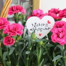 보티브플라워부티크 이미지