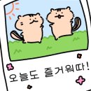 트랑(TRANG) 이미지