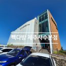빽풍 | 제주 바다 한눈에! 빽다방 제주사수본점, 통유리 바다뷰 카페 후기