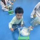 리틀 키즈 태권도장 이미지