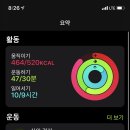 숨숲아무르