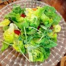 발이봉길 | 분당 수내 파스타 맛집 라라테이블 블루리본이 인정한 감성 이탈리안 다이닝 리얼 후기