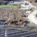 부용농장 이미지