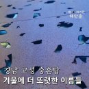 신년맞이 충혼탑 참배 이미지