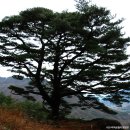 송전마을 이미지