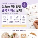퍼플비