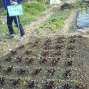 해,바람 이미지