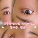 인계동 953 | 눈두덩이 안 닿게 바짝 수원 속눈썹펌맛집 망포역 근방 수안뷰티