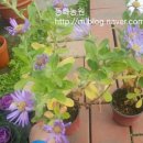 동화조경농원 이미지