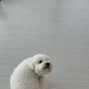 은평국제유치원 이미지