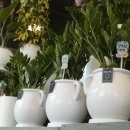 교동꽃화원 이미지