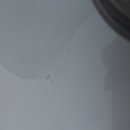 블루가이