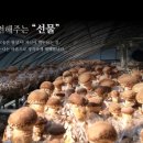 우리농업회사법인