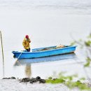 연꽃테마파크 이미지