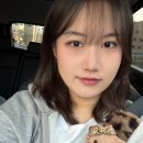 VS 두산] 랜더스의 야구를 시작하자! | 25시즌 개막전 | 랜더스필드 4층 SKY뷰석 303블럭 B열 직관 후기
