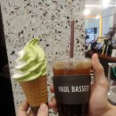 폴 바셋 롯데몰 수지점