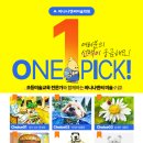 바나나엔씨미술학원 - 고양시 일산동구 위시티2로11번길 14-4 | 바나나엔씨미술학원