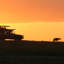 커피나라 이미지