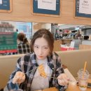 헤이올라 이미지