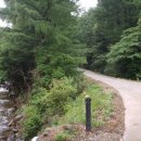 무주 문리버펜션 이미지