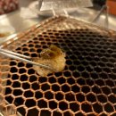 세광양대창 하남미사점 이미지